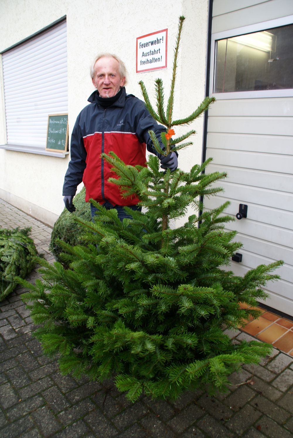 Weihnachtsbaum13