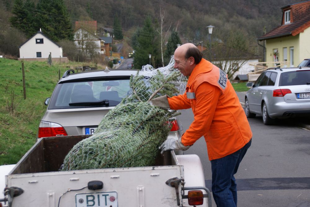 Weihnachtsbaum54