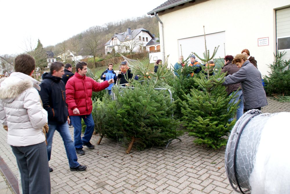 Weihnachtsbaum55