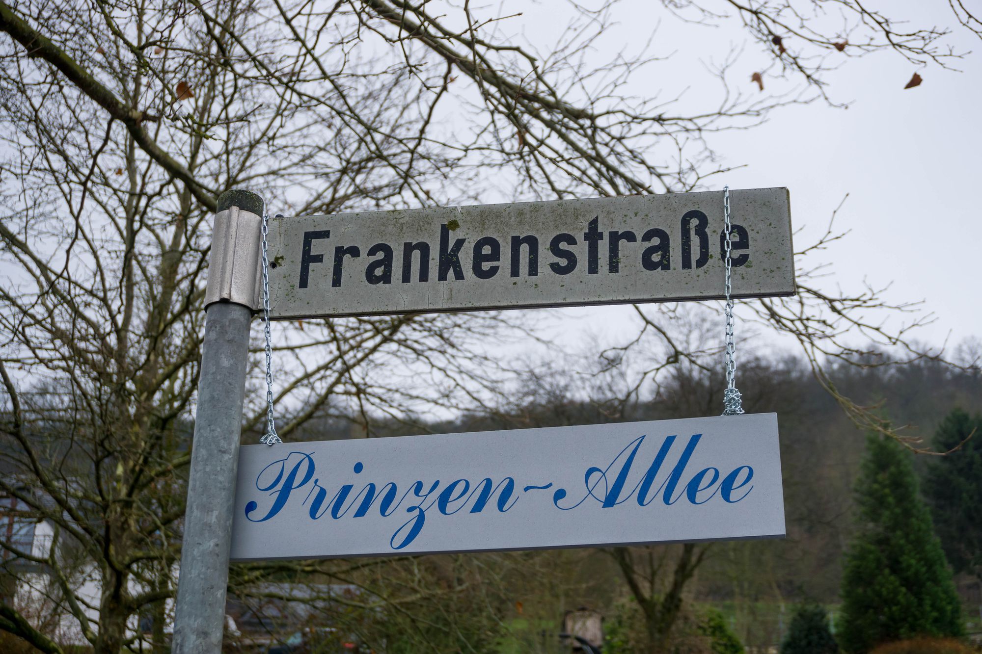 Weihnachtsbaumverkauf 2017