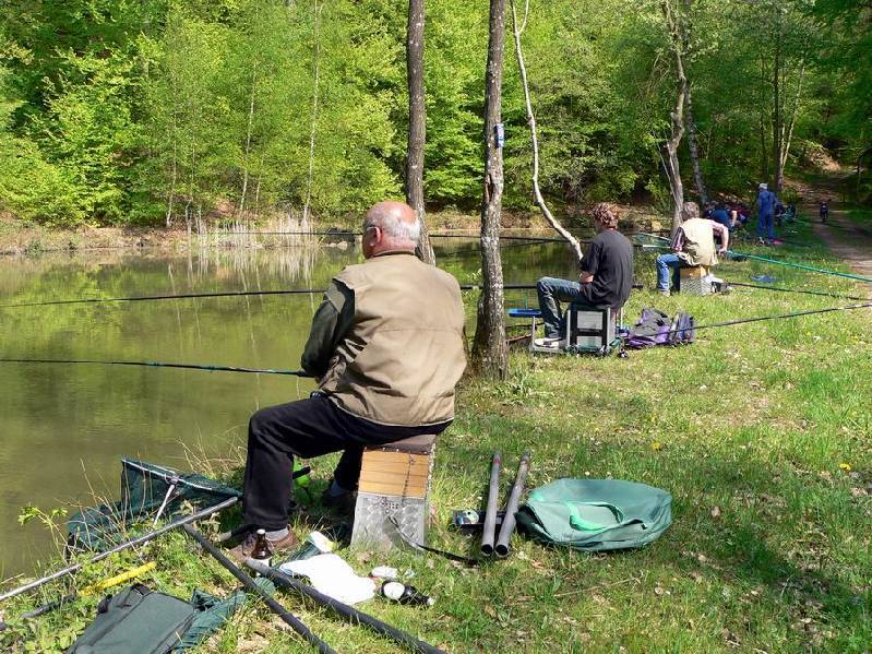 Graureiher Bild Nr.001