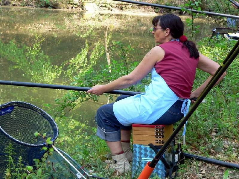 Graureiher Bild Nr.012