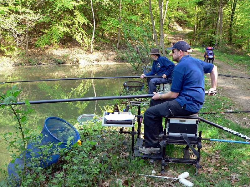 Graureiher Bild Nr.014