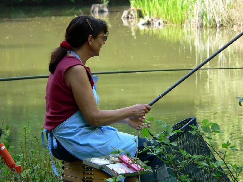 Graureiher Bild Nr.018