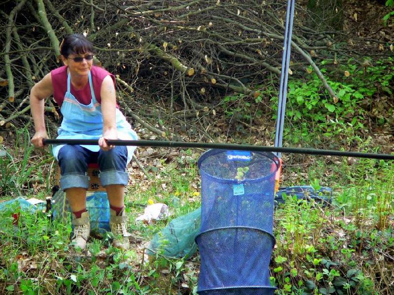 Graureiher Bild Nr.024