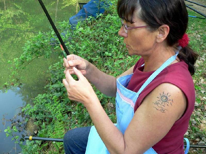 Graureiher Bild Nr.050