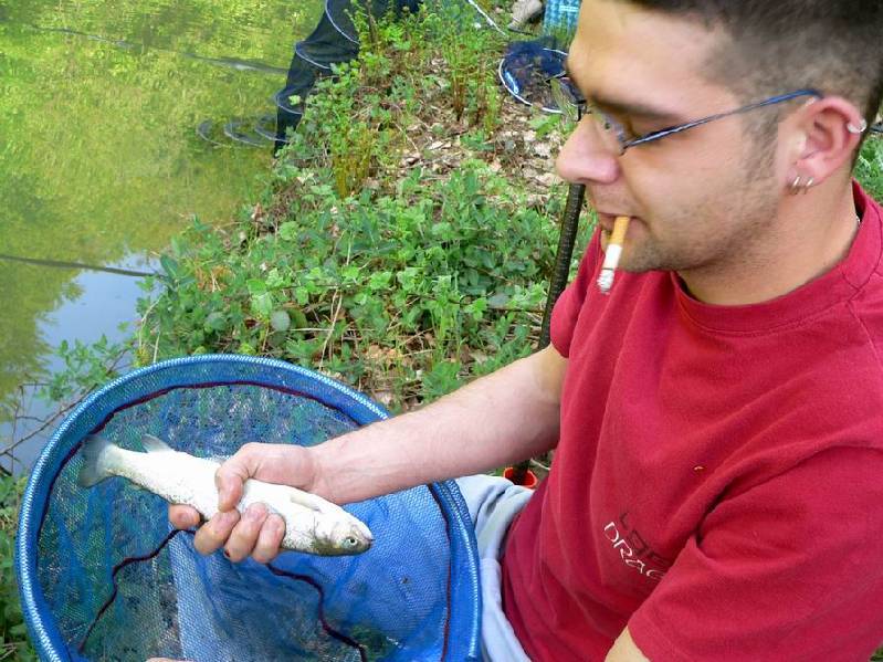 Graureiher Bild Nr.054