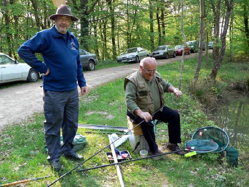 Graureiher Bild Nr.067