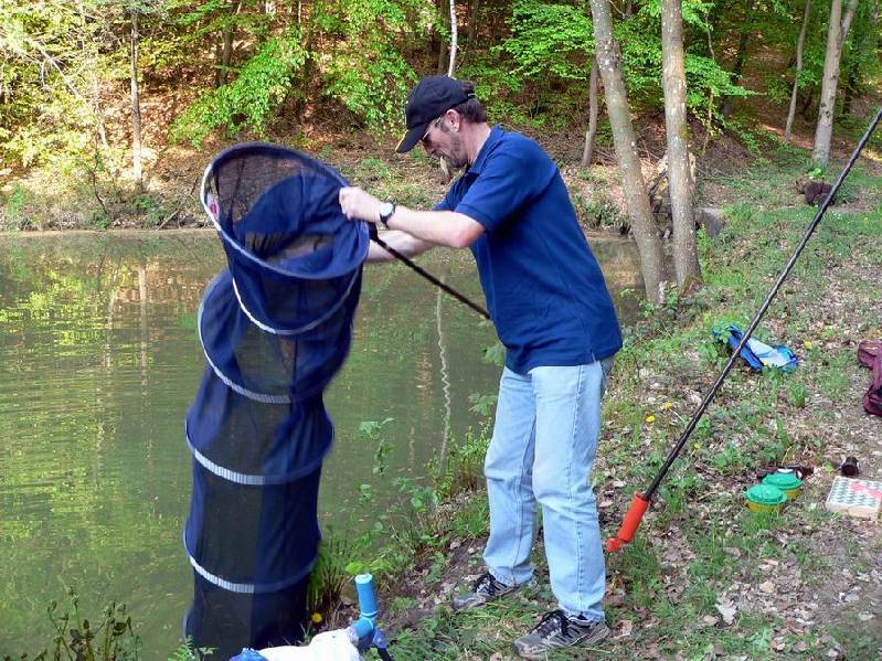 Graureiher Bild Nr.075