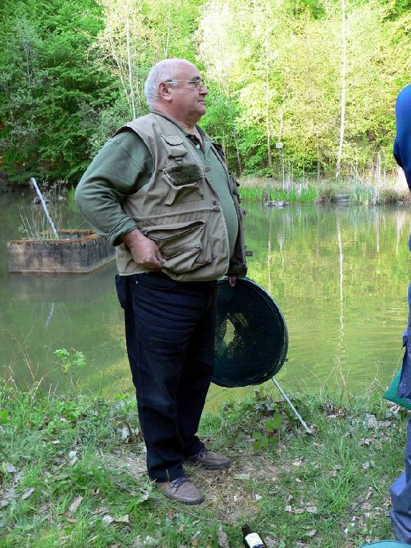 Graureiher Bild Nr.100