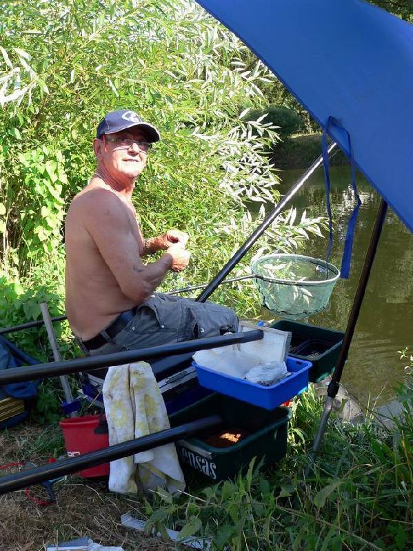 Graureiher Bild Nr.134