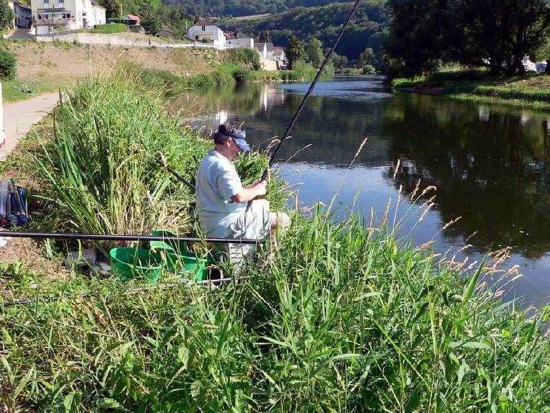 Graureiher Bild Nr.137