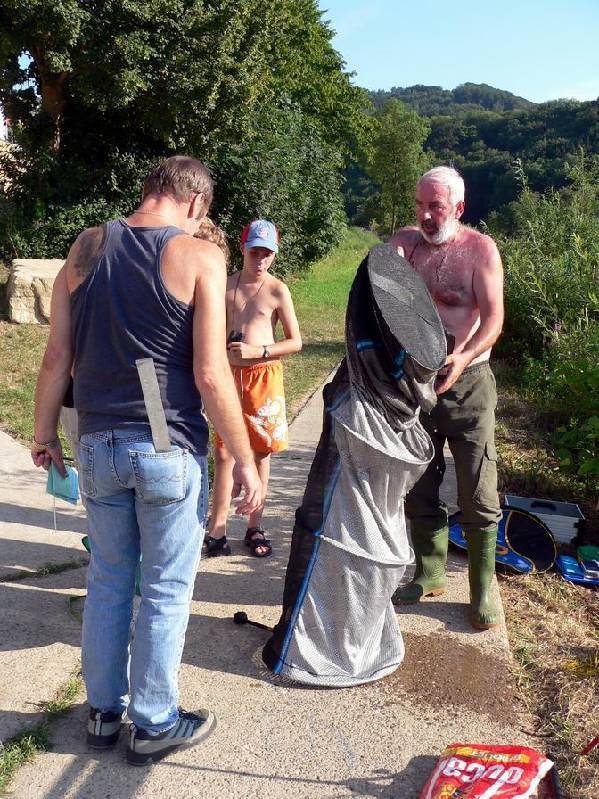 Graureiher Bild Nr.157